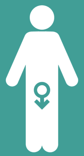 Impotência masculina e um aumento em um membro
