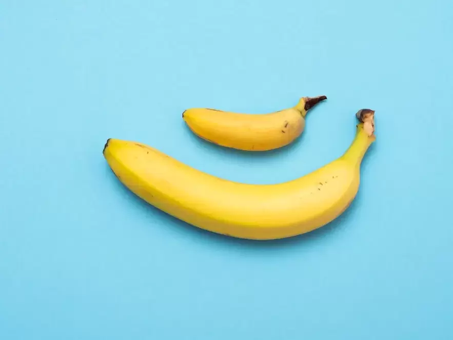 pênis pequeno e aumentado com pompa no exemplo das bananas